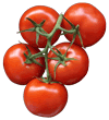 tomaten